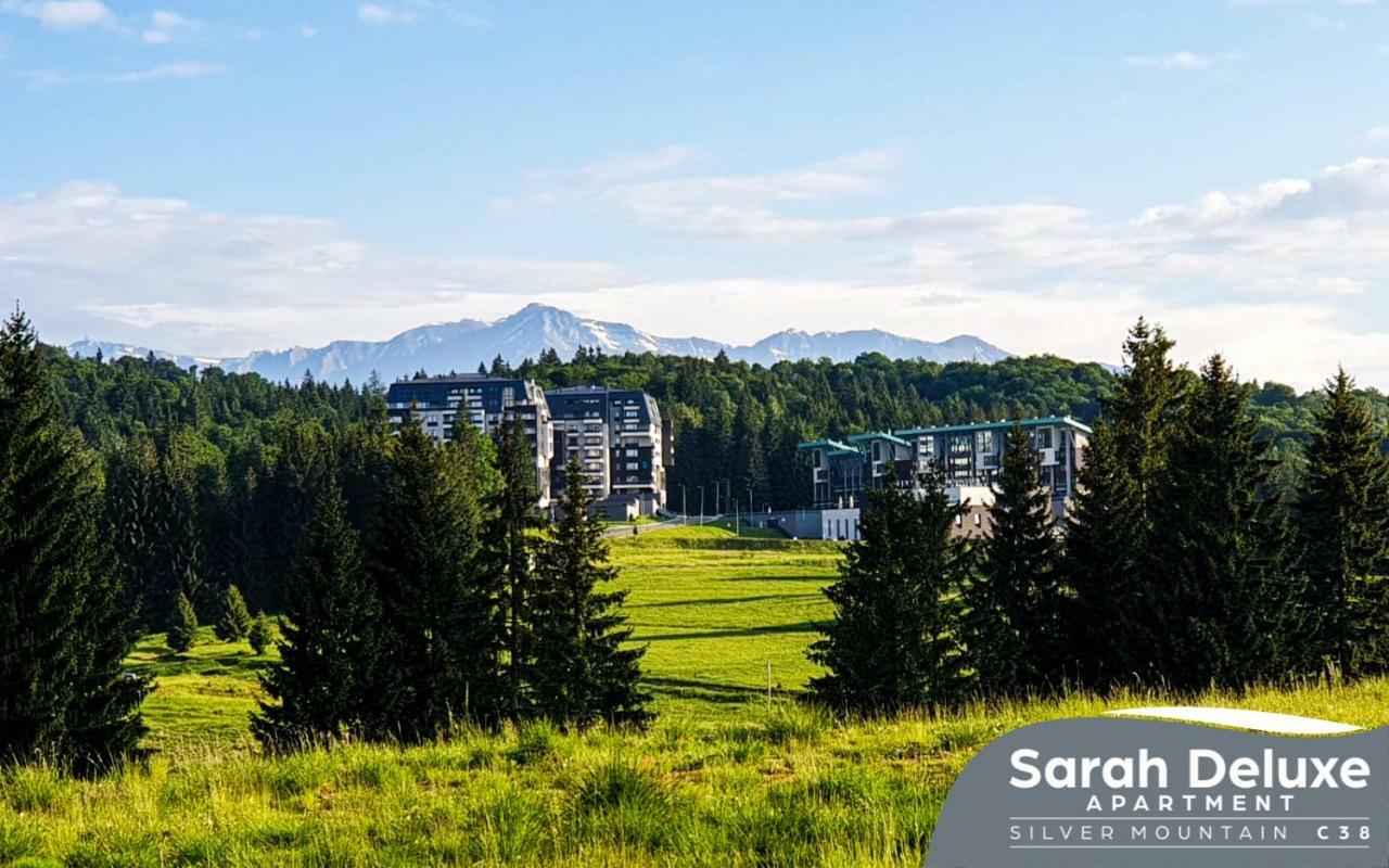 Sarah Deluxe Apartment In Silver Mountain Poiana Brasov Eksteriør bilde